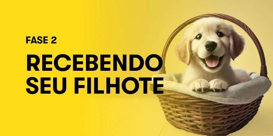 A primeira noite do filhote em casa: como evitar o choro