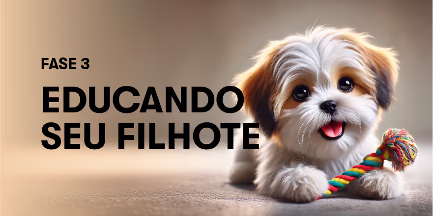 Como ensinar o filhote a ficar sozinho sem ansiedade